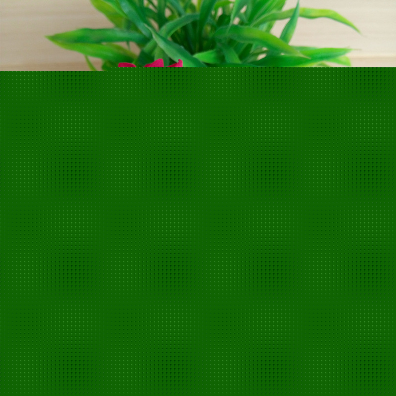 現貨供應 香薰花   通草樹皮花 植物工藝品 無火香薰 變色花批發・進口・工廠・代買・代購