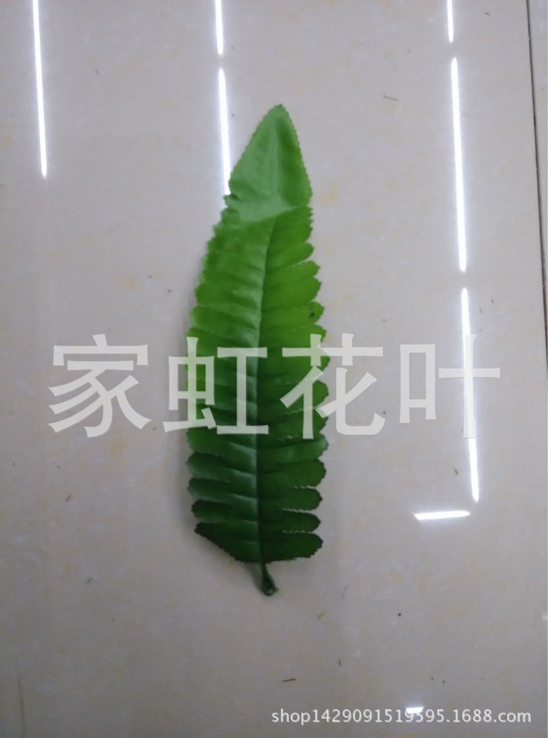 波斯葉透孔 單片魚刺葉波斯草蕨草排草仿真花葉樹葉植物葉1件=1斤批發・進口・工廠・代買・代購