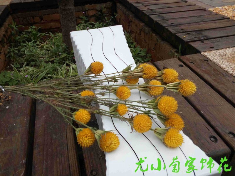【星蘭草莓花】雲南原生態傢居擺設藝術乾花工廠,批發,進口,代購