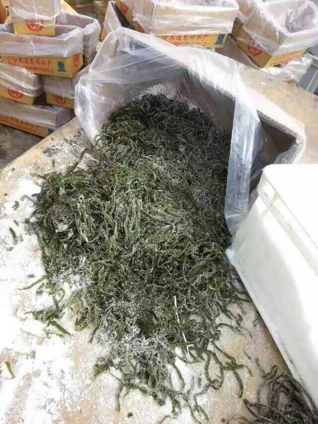 鹽漬海帶絲脫水海帶 大連廠傢直銷批發 好品質 跑江湖地攤新爆品工廠,批發,進口,代購