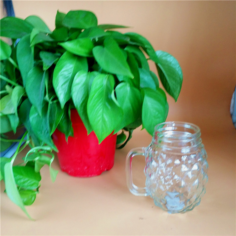 廠傢直銷520ML高白料透明菠蘿型吸管杯 把手杯  定製杯蓋量大從優工廠,批發,進口,代購
