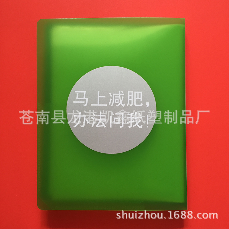 定製塑料相冊 pp環保封麵燙銀 活頁相冊 產品宣傳效果冊工廠,批發,進口,代購