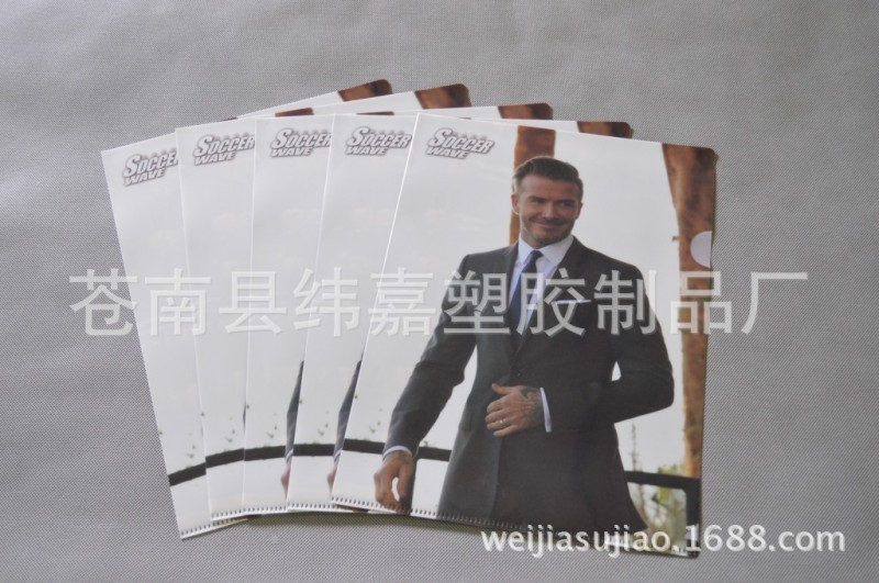E310  文件套  L型文件夾工廠,批發,進口,代購