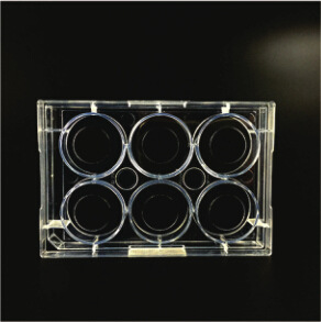 φ20mm激光共聚焦培養皿 玻璃細胞培養板 6孔板  多規格可選工廠,批發,進口,代購