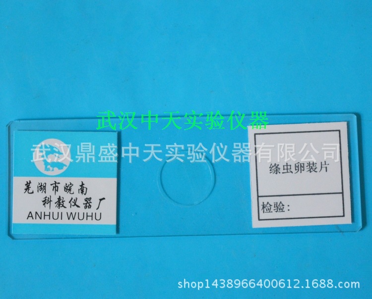 絳蟲卵裝片 初高中生物實驗裝片 生物實驗切片全系列 正品質優工廠,批發,進口,代購