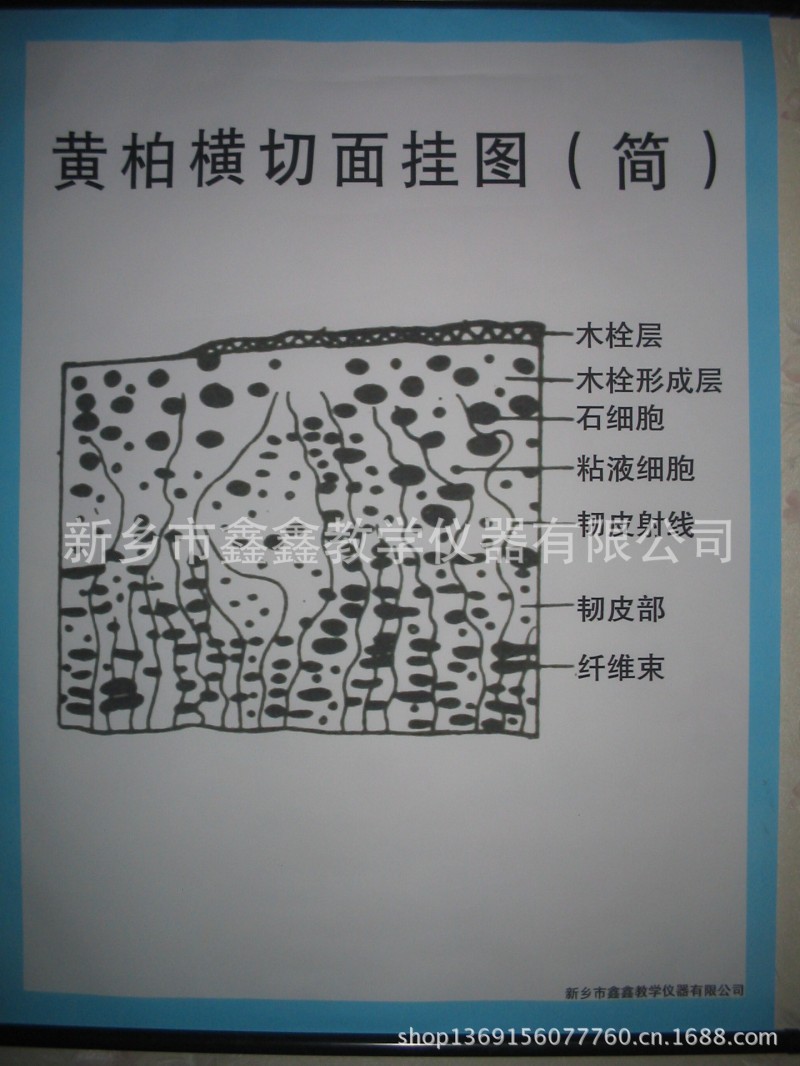 廠傢大量生產供應優質中藥掛圖工廠,批發,進口,代購