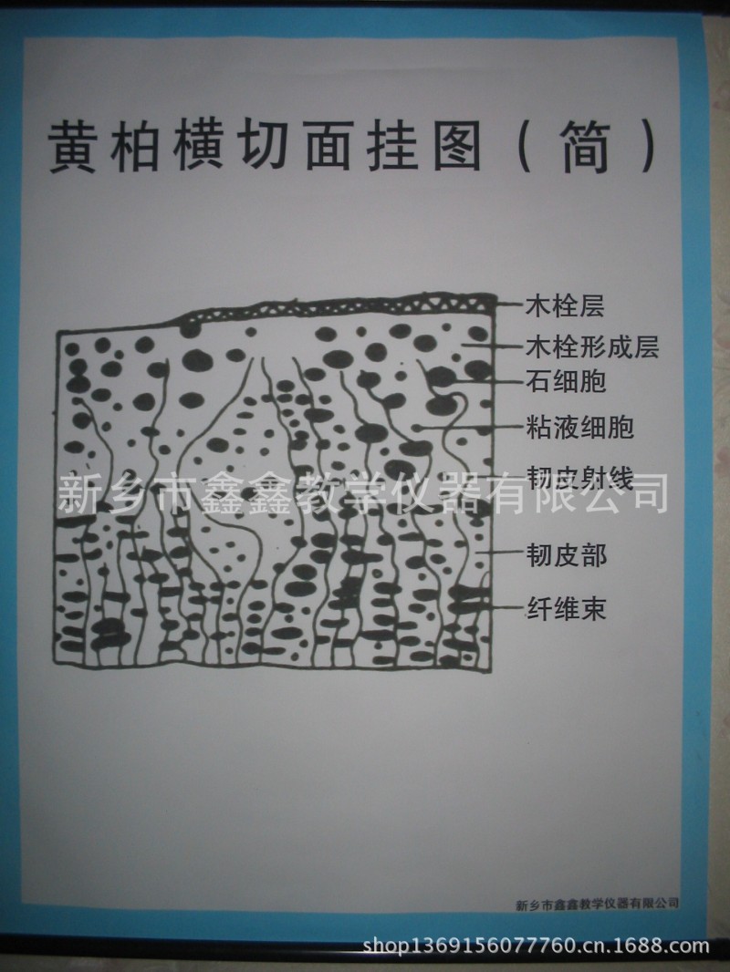 廠傢大量生產供應優質中藥掛圖批發・進口・工廠・代買・代購