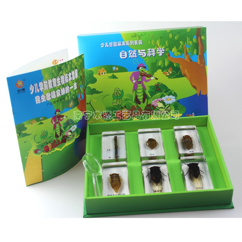 學前教育益智昆蟲琥珀標本玩具 昆蟲歌唱傢蟬的一生標本包埋套裝工廠,批發,進口,代購