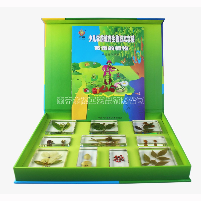 有毒的植物標本 中小學科普教學植物標本 幼兒園兒童早教益智玩具工廠,批發,進口,代購