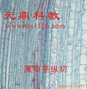 廠傢大量生產供應優質中藥切片-薄荷莖縱切工廠,批發,進口,代購