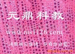 廠傢大量供應優質顯微鏡切片-細胞學切片工廠,批發,進口,代購