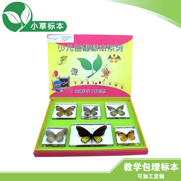 精品推薦 會飛的花朵-蝴蝶6件套 學前教育益智標本工廠,批發,進口,代購