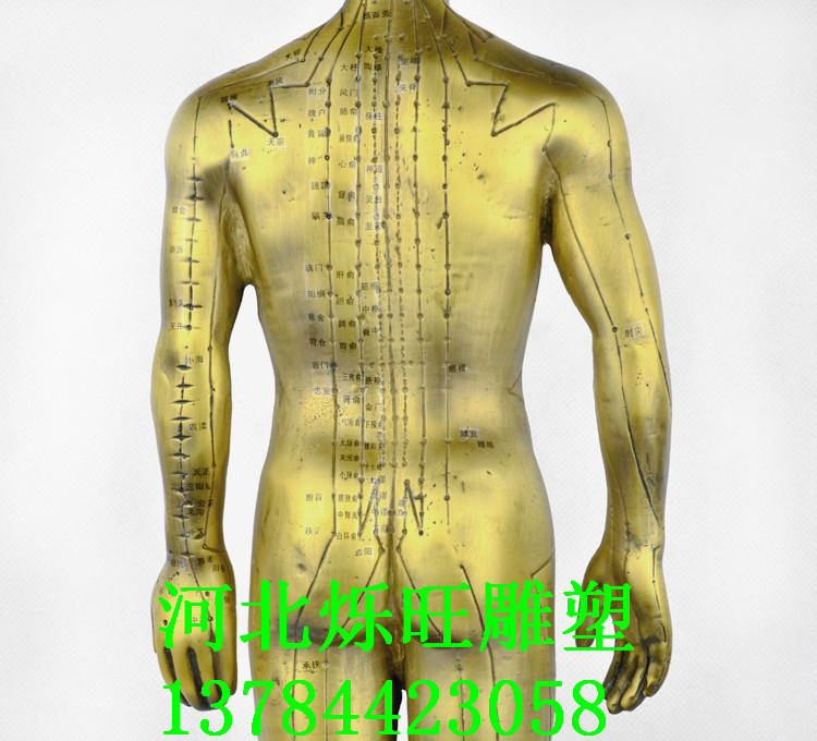 爍旺廠傢製作針灸銅人50-200醫用教學模型銅人像雕塑批發 小銅人工廠,批發,進口,代購