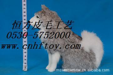 仿真貓頭鷹,科教機器，教學教具，教學機器 生物教學器材工廠,批發,進口,代購