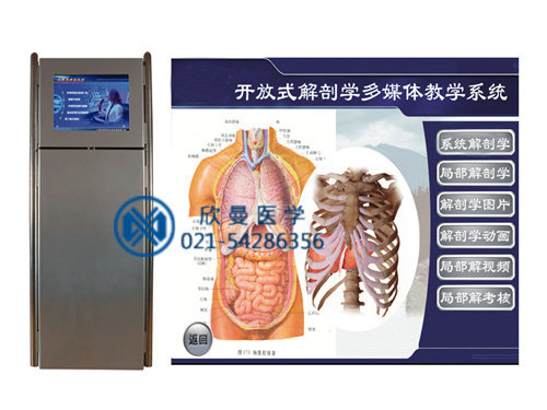 開放式解剖學多媒體教學系統 JP工廠,批發,進口,代購