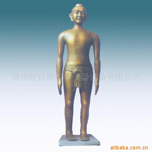 供應仿古針灸銅人高166cm，醫學教學模型工廠,批發,進口,代購