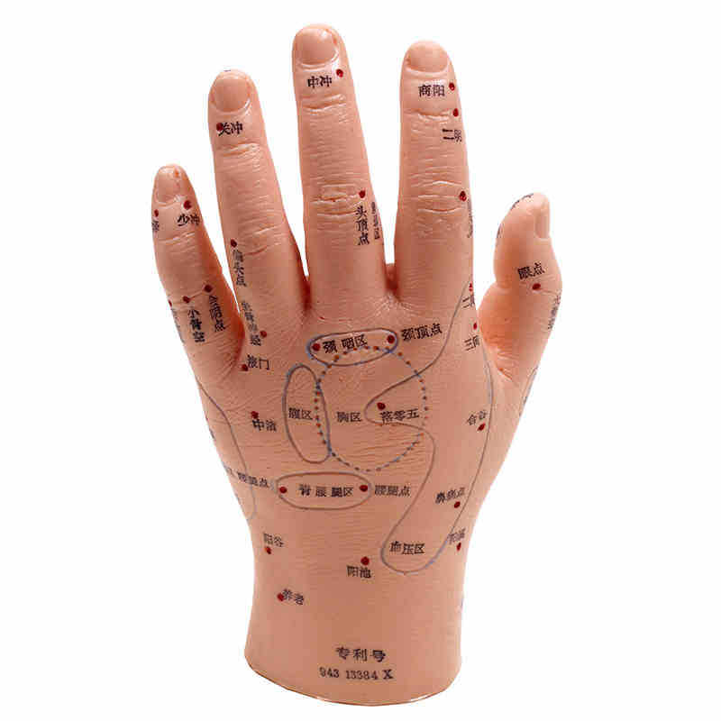 經絡通手模型 手摸傢用針位模具人體經絡人體模型人體經絡 針灸工廠,批發,進口,代購