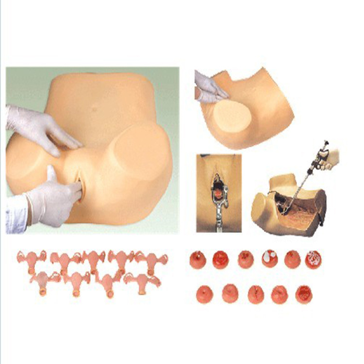 高級婦科檢查模型批發・進口・工廠・代買・代購