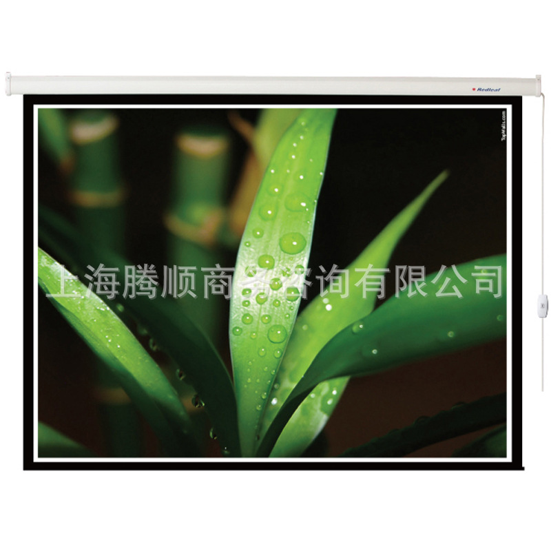 紅葉電動幕150寸 紅葉幕佈150寸 紅葉電動幕佈150寸 4：3 張傢港工廠,批發,進口,代購