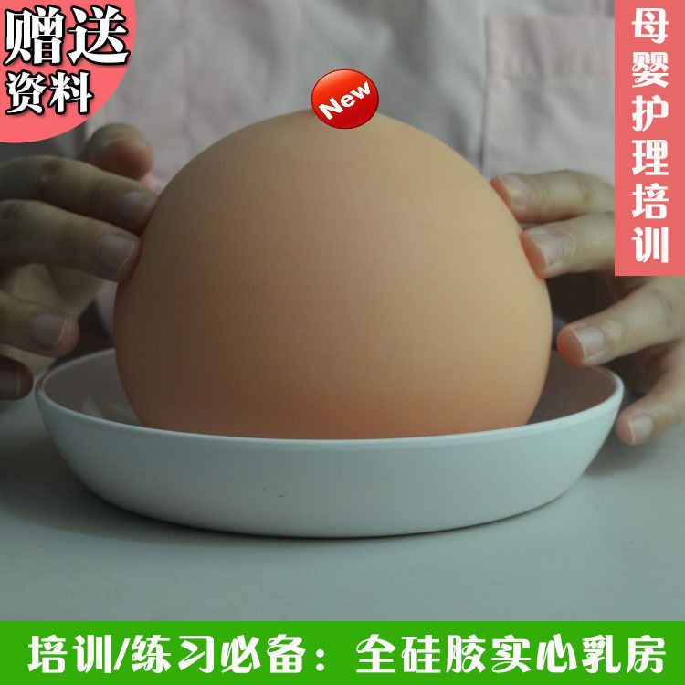 傢政母嬰護理培訓教具 催乳師催乳通乳乳房模型 全矽膠手感真實批發・進口・工廠・代買・代購