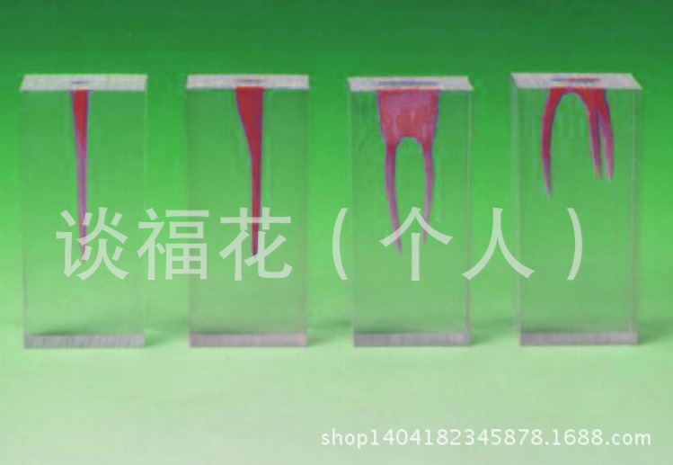 廠傢直供低價高品質口腔模型-根管模型S3批發・進口・工廠・代買・代購