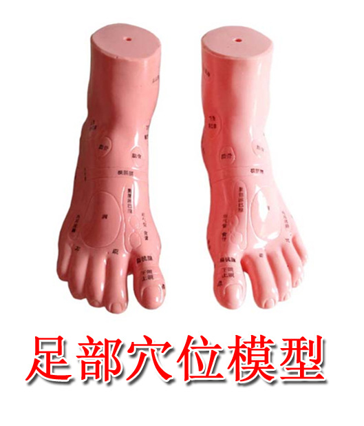 13cm大人足部反射區模型足模型腳模型足穴位模型經絡通足部教學模工廠,批發,進口,代購