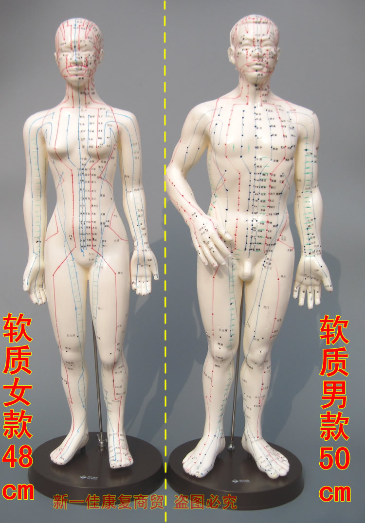 人體穴位模型針灸按摩中醫用經絡通教學人體模型小人經絡模型男女工廠,批發,進口,代購