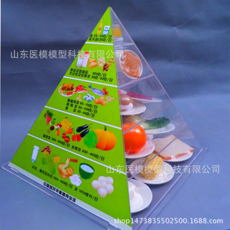 膳食寶塔 健康小屋膳食平衡寶塔食物模型膳食金字塔營養食物模型工廠,批發,進口,代購