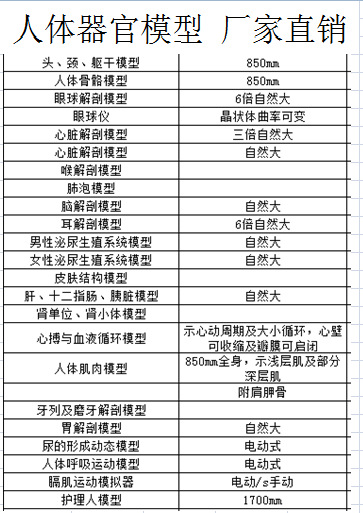 人體骨骼模型45 85CM骨架模型 腦 耳 心 喉 肝 腎 血液解剖模型工廠,批發,進口,代購