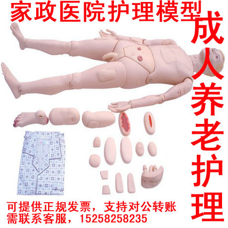 高級組合式基礎護理人模型 男性女性全功能養老護理訓練模擬人工廠,批發,進口,代購