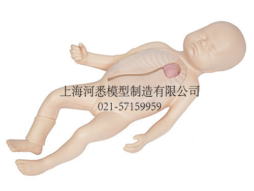 新生兒外周中心靜脈插管模型,新生兒外周穿刺模型工廠,批發,進口,代購