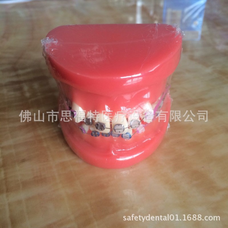 齒科材料 口腔模型 牙齒模型 教學模型 正畸半金屬半陶瓷牙齒模型批發・進口・工廠・代買・代購