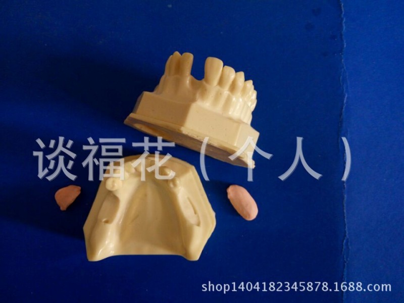 牙齒骨增量種植練習廠傢直供低價高品質——種植練習模型批發・進口・工廠・代買・代購