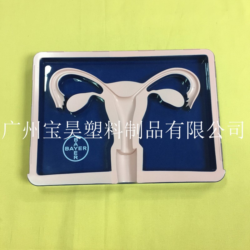 子宮模型批發・進口・工廠・代買・代購