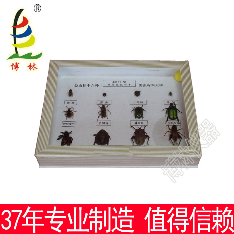 昆蟲標本 6益6害 J43150 生物標本 生物實驗器材 中學教學機器工廠,批發,進口,代購