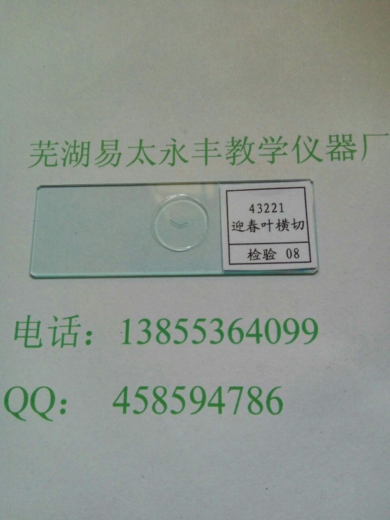 教學機器  生物玻片切片  迎春葉橫切43221批發・進口・工廠・代買・代購