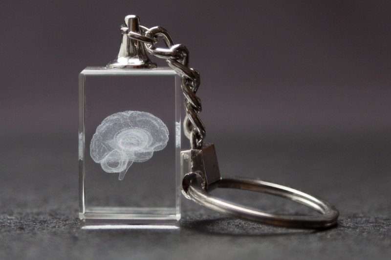腦解剖教學模型醫院醫生禮品水晶禮品水晶鑰匙圈批發・進口・工廠・代買・代購