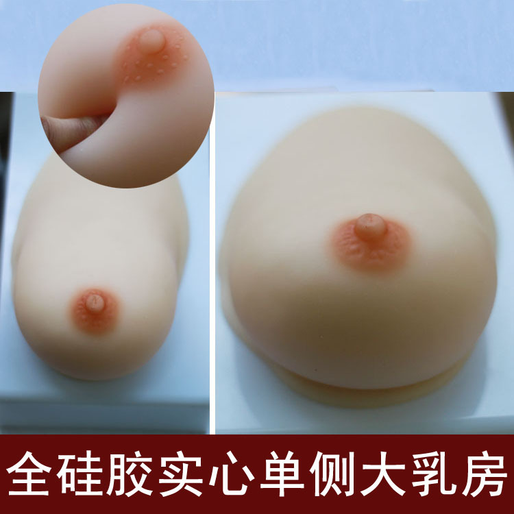 高級哺乳期乳房模型 單側 催乳師教學/練習 傢政月嫂培訓必備教具批發・進口・工廠・代買・代購