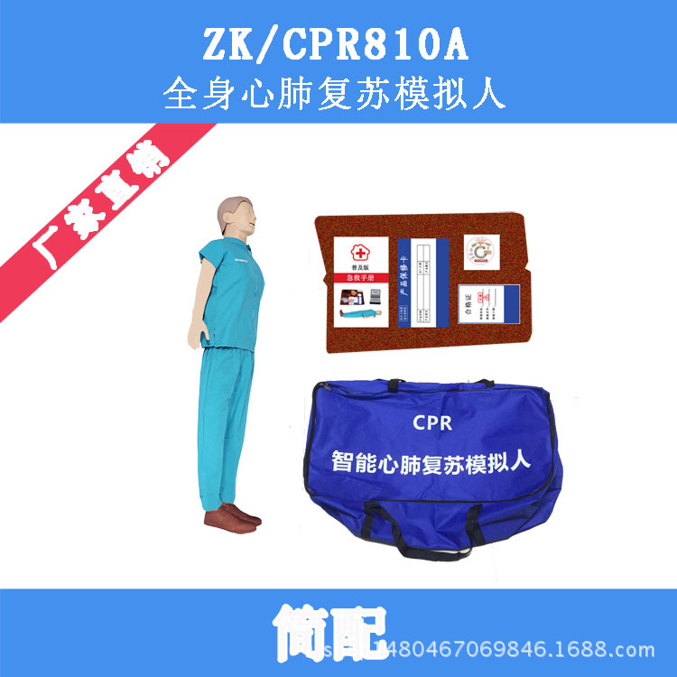 全身心肺復蘇模擬人（簡配） 急救教學模型 訓練模型 ZK/CPR810A工廠,批發,進口,代購