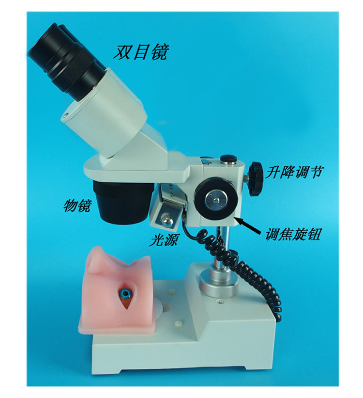 眼科顯微手術訓練模擬器 顯微鏡+顯微器械+矽膠眼眶 白內障工廠,批發,進口,代購