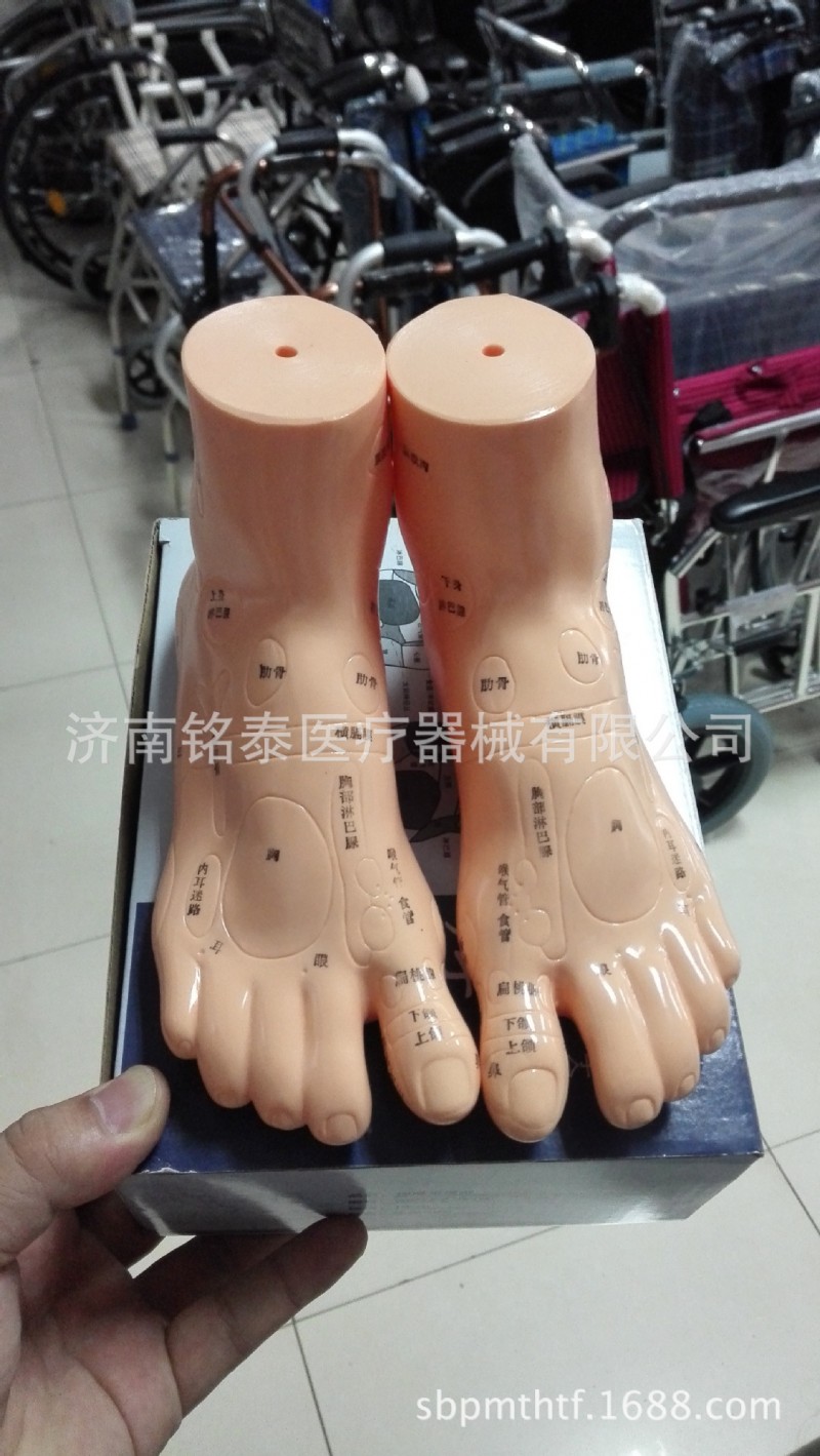 上海偉葉19cm足模型按摩針灸穴位人體穴位模型腳模腳部穴位人模型批發・進口・工廠・代買・代購