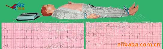 醫學模型心肺復蘇模型-高級多種心電圖電腦模擬人批發・進口・工廠・代買・代購