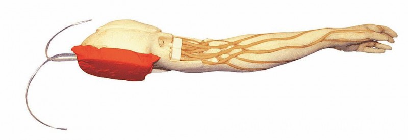 靜脈穿刺模型（GD/HS39）批發・進口・工廠・代買・代購