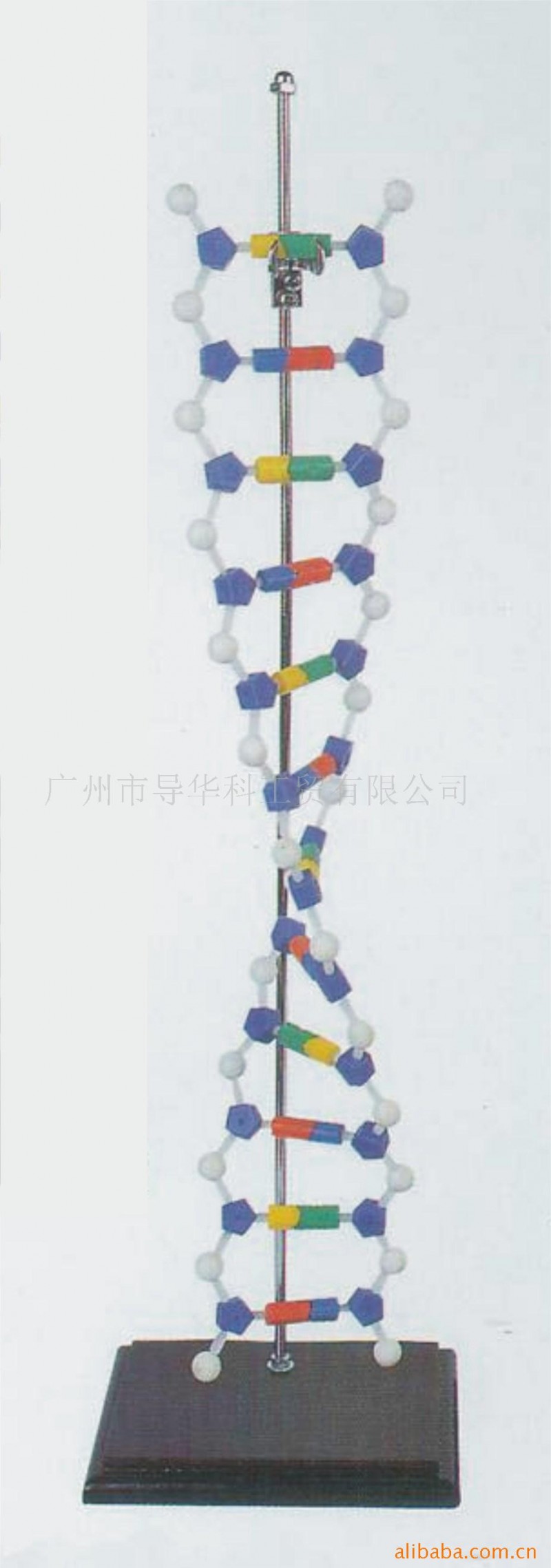 GD07000089  DNA結構模型工廠,批發,進口,代購