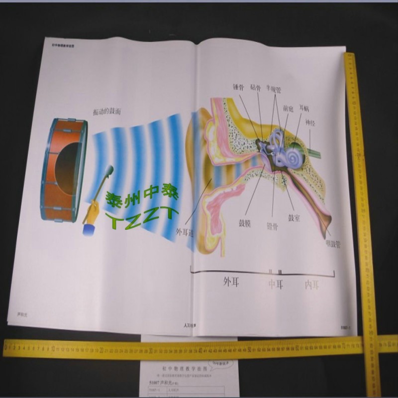 聲和光教學掛圖（9幅）J51007 初中物理教學掛圖 中學教學機器工廠,批發,進口,代購