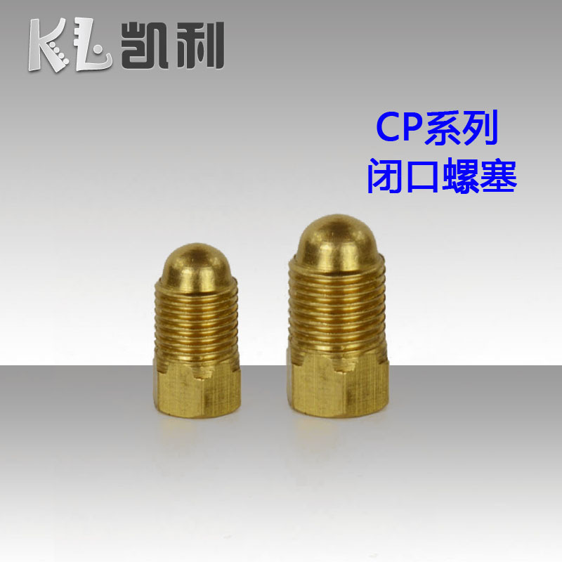CP-4閉口螺塞 /固定油管接頭/油管泵接頭批發・進口・工廠・代買・代購
