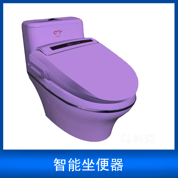 智能全塑坐便器 自動清潔馬桶 婦科清洗 瞬間加熱 誠邀代理批發・進口・工廠・代買・代購