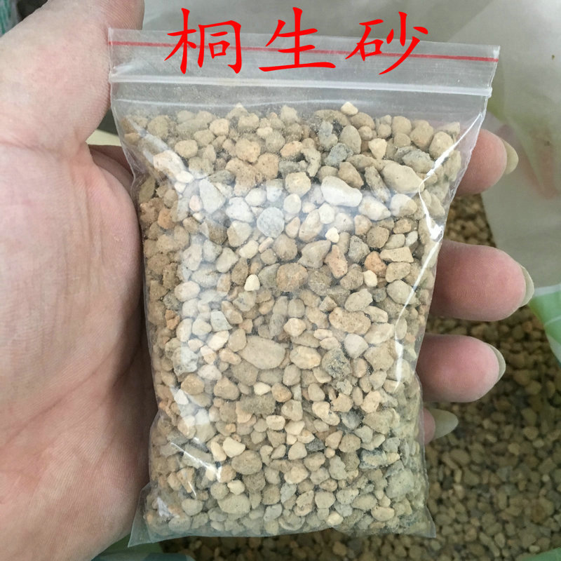 8814 桐生砂 多肉植物種植土 蘭花顆粒土 組合盆栽鋪麵土批發工廠,批發,進口,代購