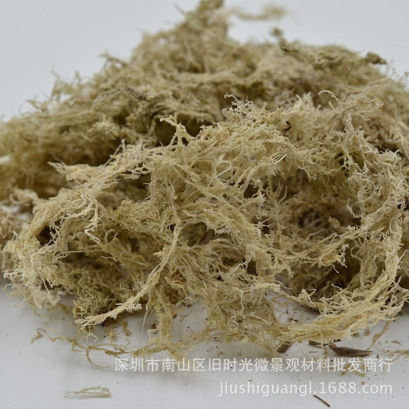 微景觀專用水苔 國產4A級乾水苔250g裝工廠,批發,進口,代購