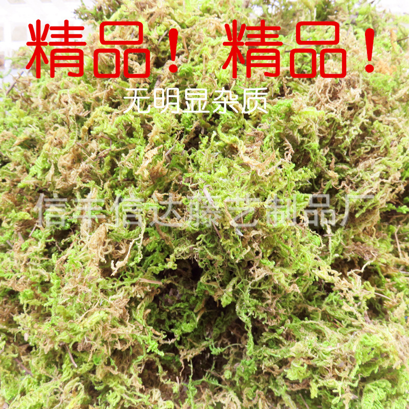 天然精品乾苔蘚無明顯雜質 烏龜過冬保溫 婚禮居傢裝飾 100g/袋批發・進口・工廠・代買・代購